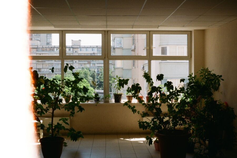 Pagrindinė iliustracija